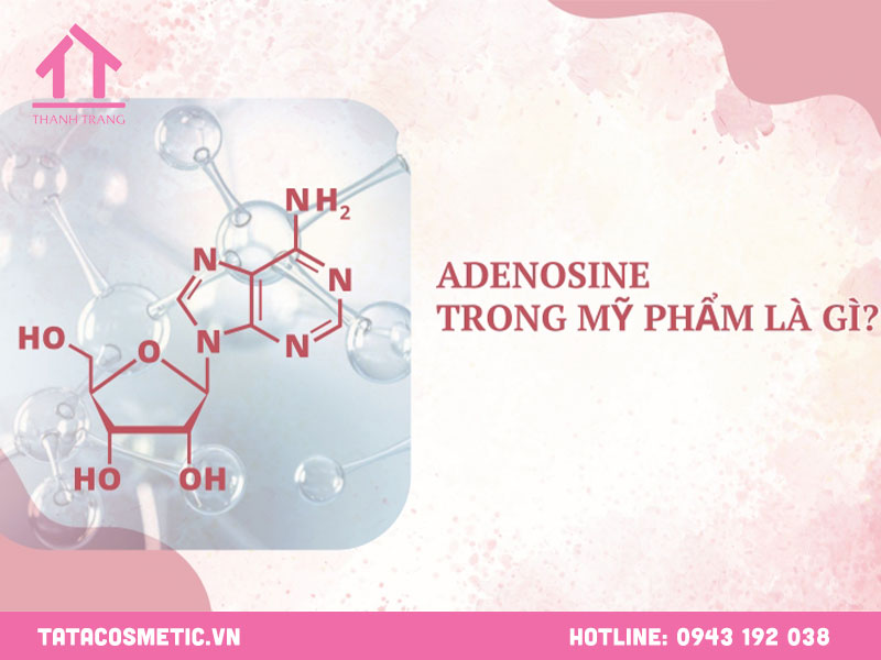 Adenosine trong mỹ phẩm là gì? tác dụng và ứng dụng nổi bật