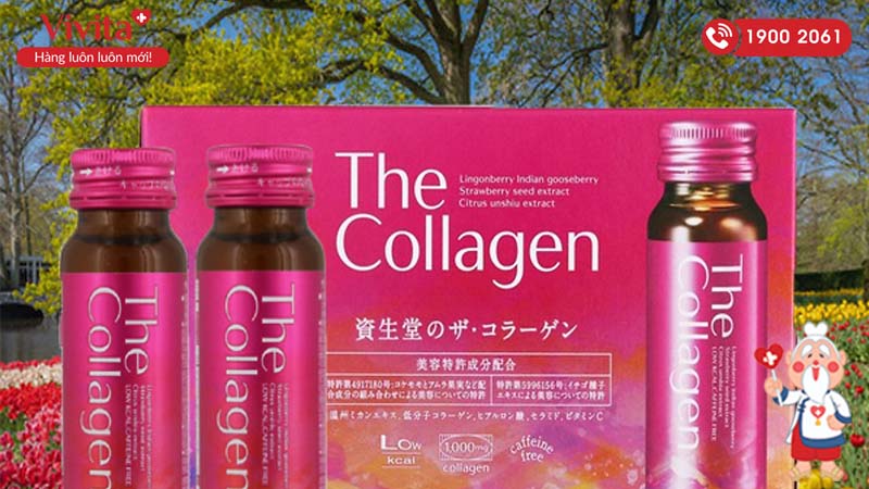 Uống gì để đẹp da: 11 loại thức uống giúp làn da khỏe mạnh và chống lão hóa